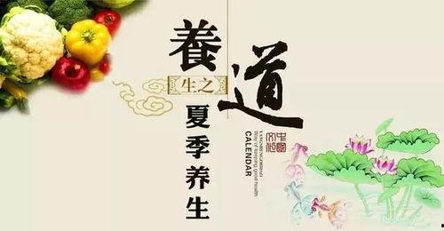 娱乐吃瓜健康养生小说